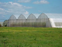 road construction in kenya